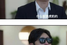 中方如何避免债务纠纷？专业追讨公司教您应对之策